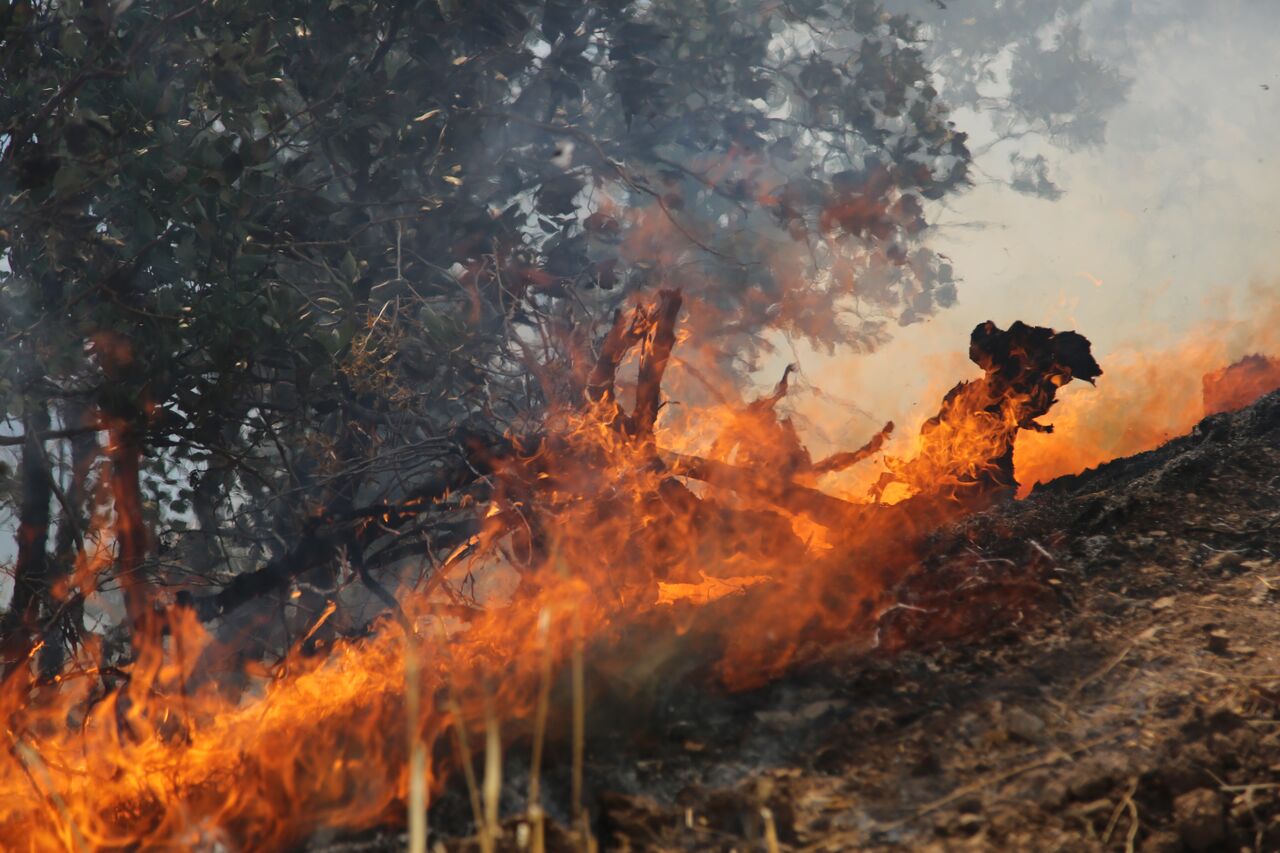امسال ۷۰ فقره آتش سوزی در گچساران رخ داد